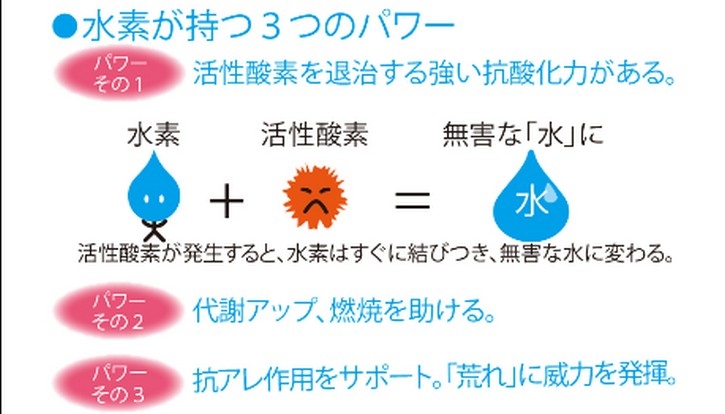 �yH2���f�T�v�������g�z